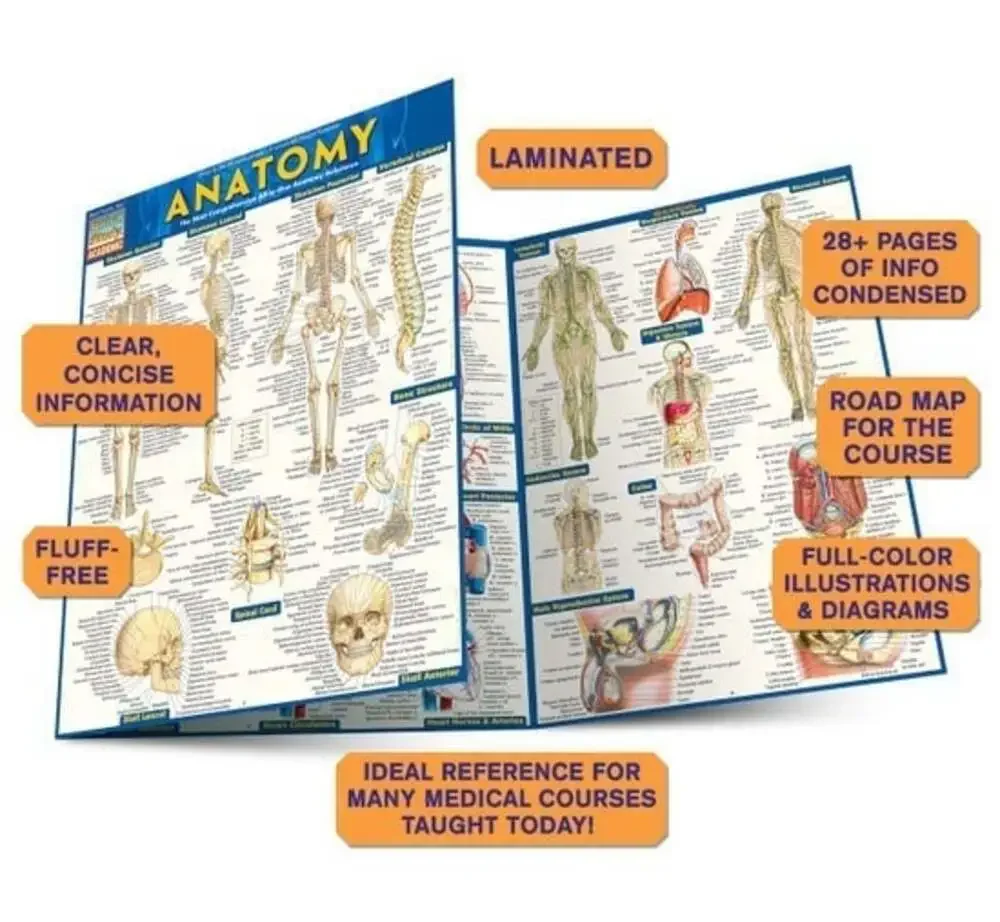 NEW QuickStudy | Anatomy Laminated Tri-Fold Study Guide ~ FAST FREE SHIPPING!